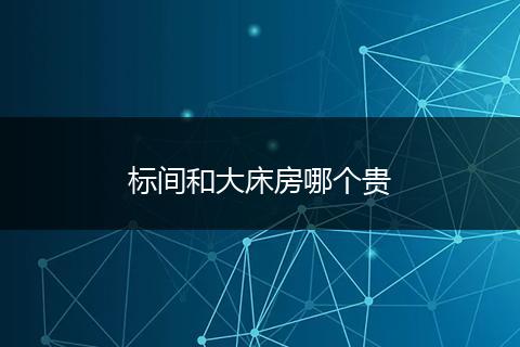 标间和大床房哪个贵