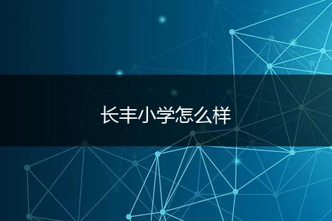 长丰小学怎么样