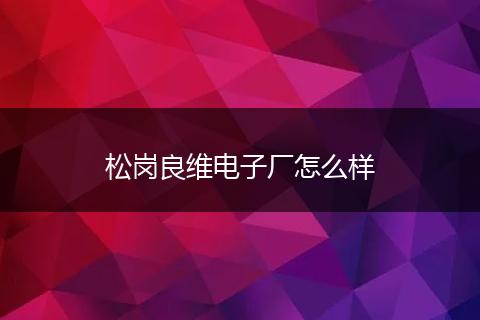 松岗良维电子厂怎么样