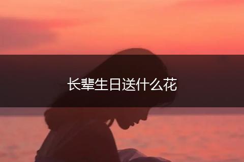 长辈生日送什么花
