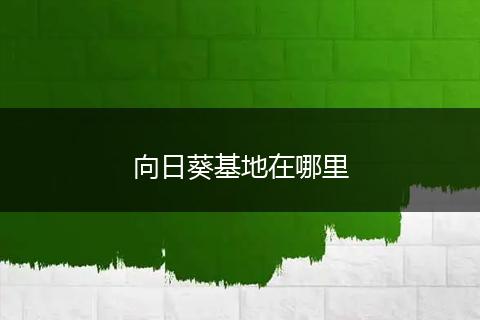 向日葵基地在哪里