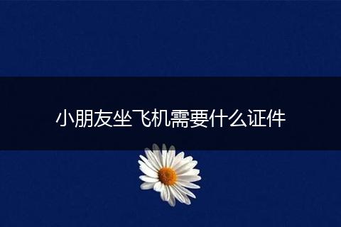 小朋友坐飞机需要什么证件