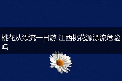 桃花从漂流一日游 江西桃花源漂流危险吗