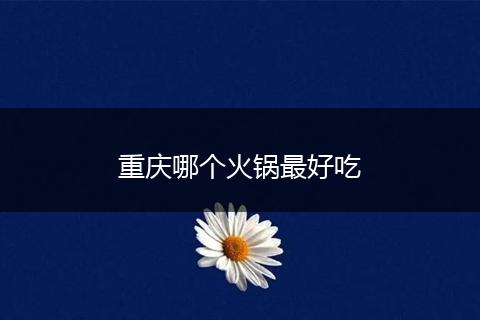 重庆哪个火锅最好吃