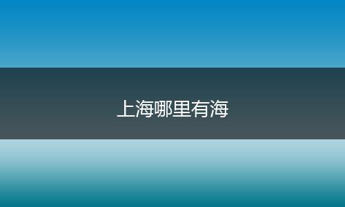 上海哪里有海