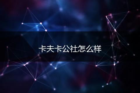 卡夫卡公社怎么样