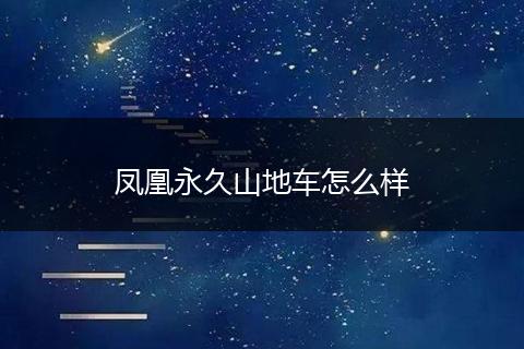 凤凰永久山地车怎么样