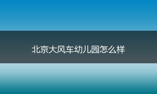 北京大风车幼儿园怎么样