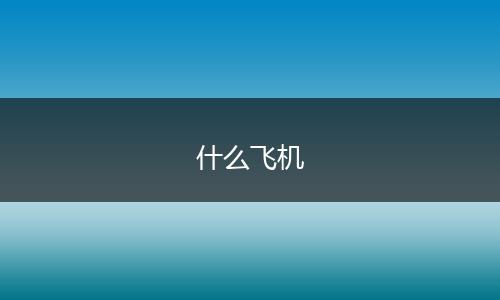 什么飞机