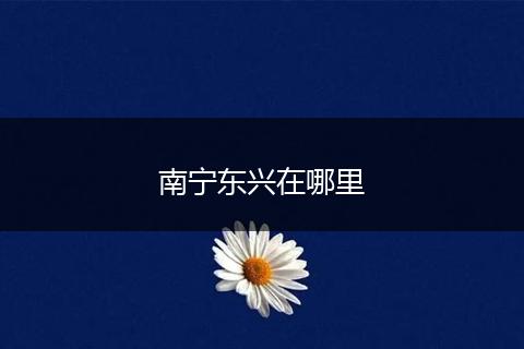 南宁东兴在哪里