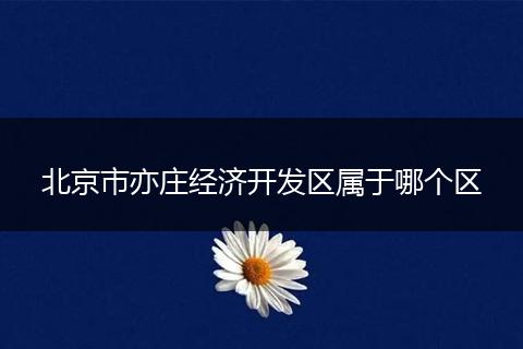 北京市亦庄经济开发区属于哪个区