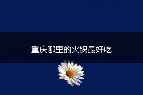 重庆哪里的火锅最好吃
