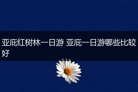 亚庇红树林一日游 亚庇一日游哪些比较好