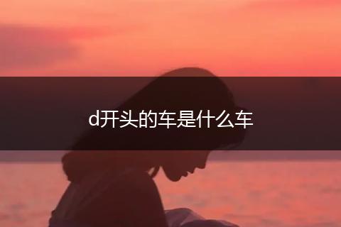 d开头的车是什么车