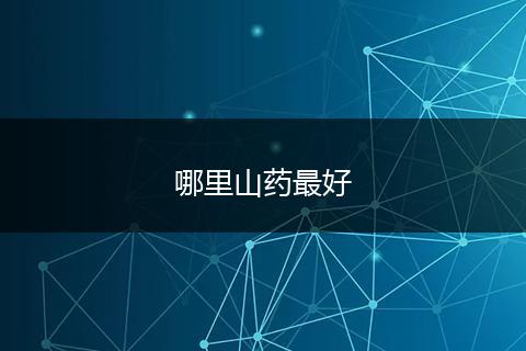 哪里山药最好