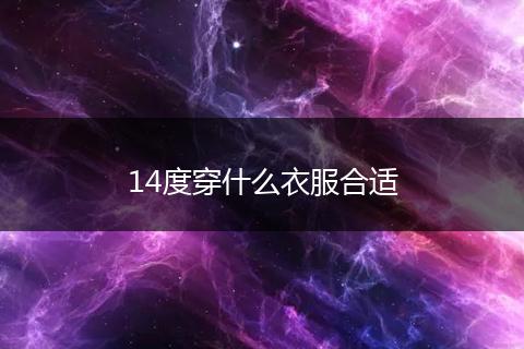 14度穿什么衣服合适