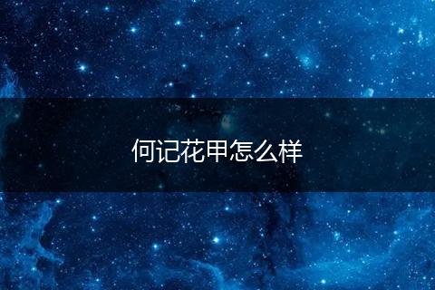 何记花甲怎么样