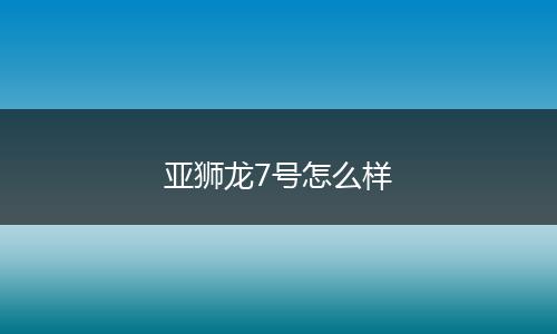 亚狮龙7号怎么样