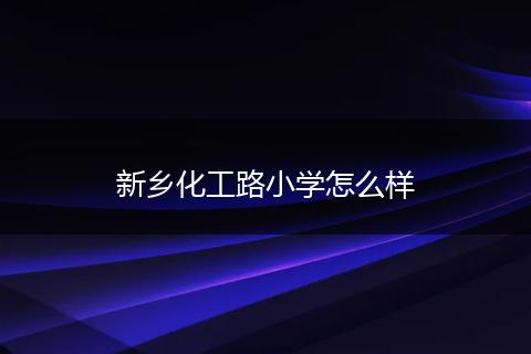 新乡化工路小学怎么样