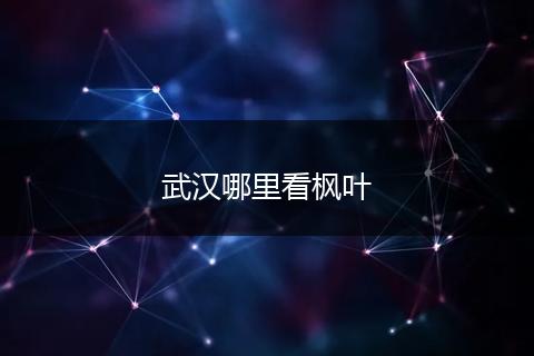 武汉哪里看枫叶