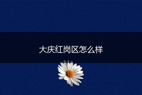 大庆红岗区怎么样