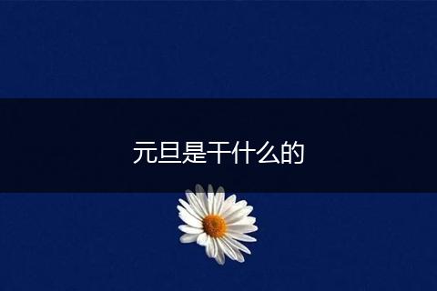 元旦是干什么的