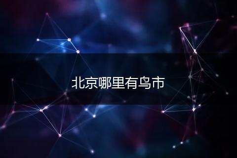 北京哪里有鸟市