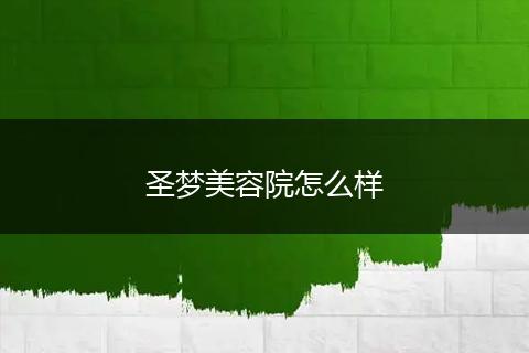 圣梦美容院怎么样