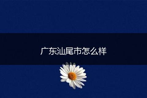 广东汕尾市怎么样