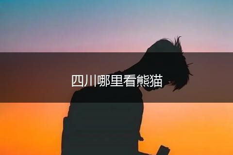 四川哪里看熊猫