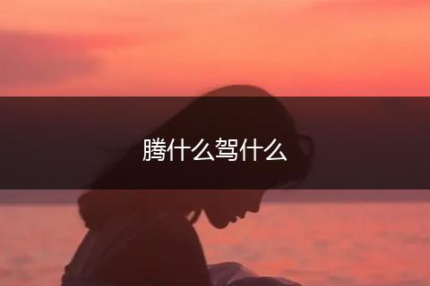 腾什么驾什么