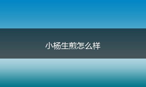 小杨生煎怎么样