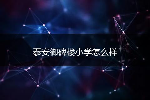 泰安御碑楼小学怎么样