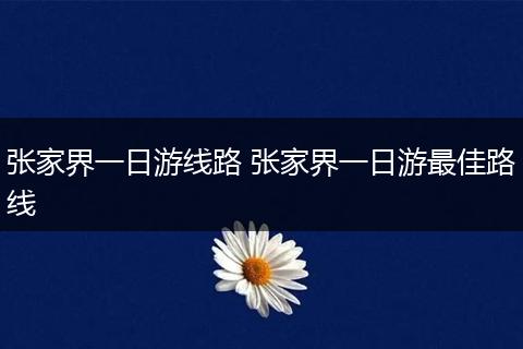 张家界一日游线路 张家界一日游最佳路线