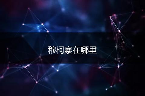 穆柯寨在哪里