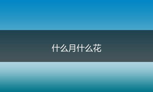 什么月什么花