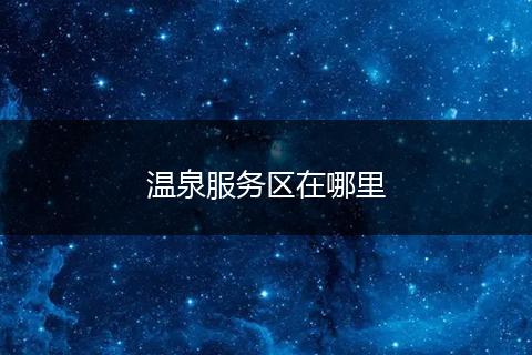 温泉服务区在哪里