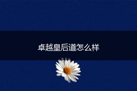 卓越皇后道怎么样