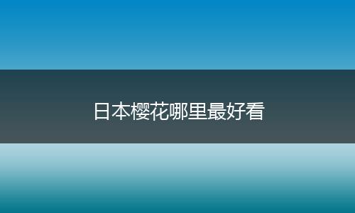 日本樱花哪里最好看