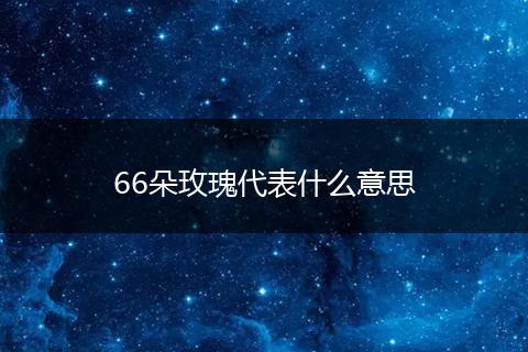 66朵玫瑰代表什么意思