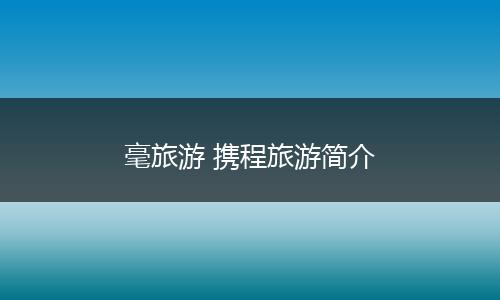 毫旅游 携程旅游简介