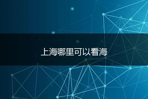上海哪里可以看海