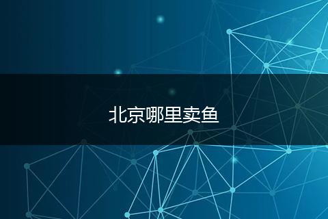 北京哪里卖鱼