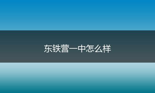 东铁营一中怎么样