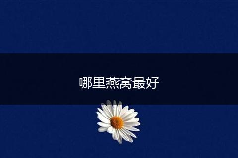 哪里燕窝最好