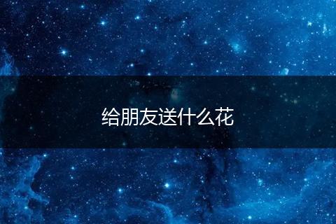 给朋友送什么花