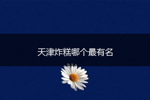 天津炸糕哪个最有名