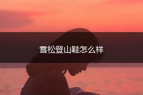 雪松登山鞋怎么样