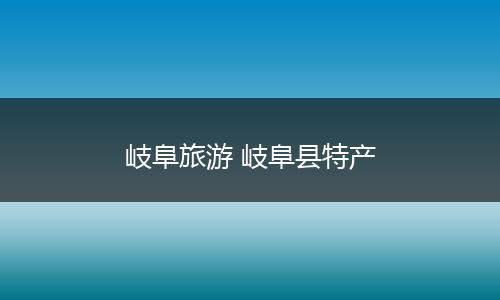 岐阜旅游 岐阜县特产