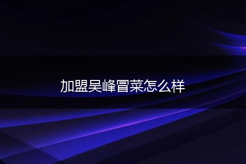 加盟吴峰冒菜怎么样
